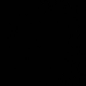 Meet your Posher, Brittney